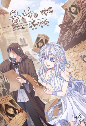 战略师